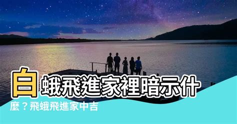 蛾飛進家裡|家有飛蛾如何化解